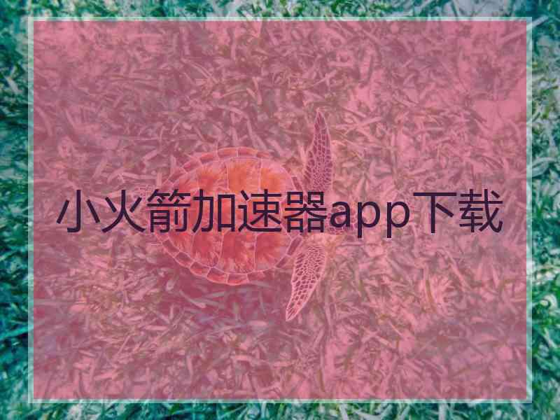 小火箭加速器app下载