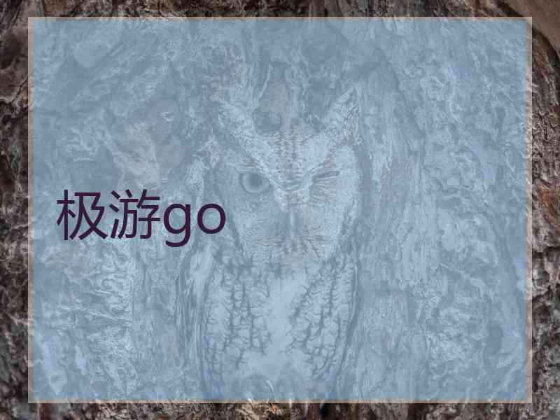 极游go