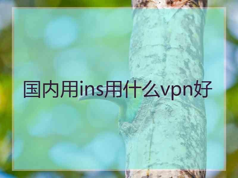 国内用ins用什么vpn好