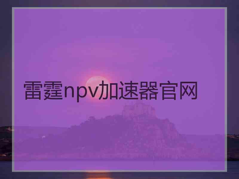 雷霆npv加速器官网