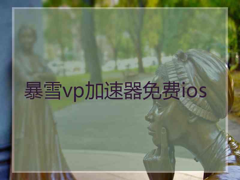 暴雪vp加速器免费ios