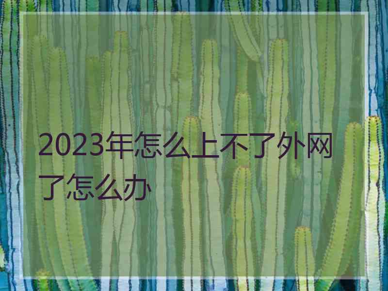 2023年怎么上不了外网了怎么办