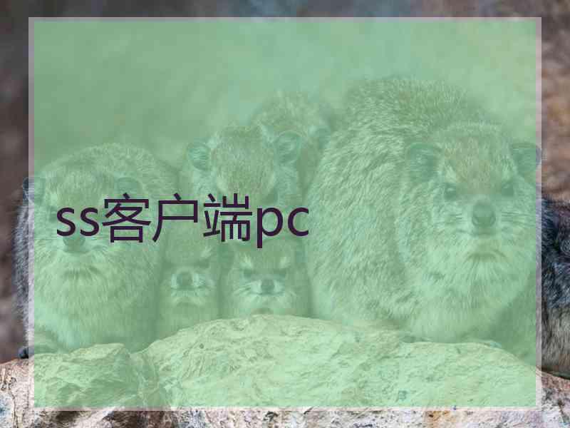 ss客户端pc