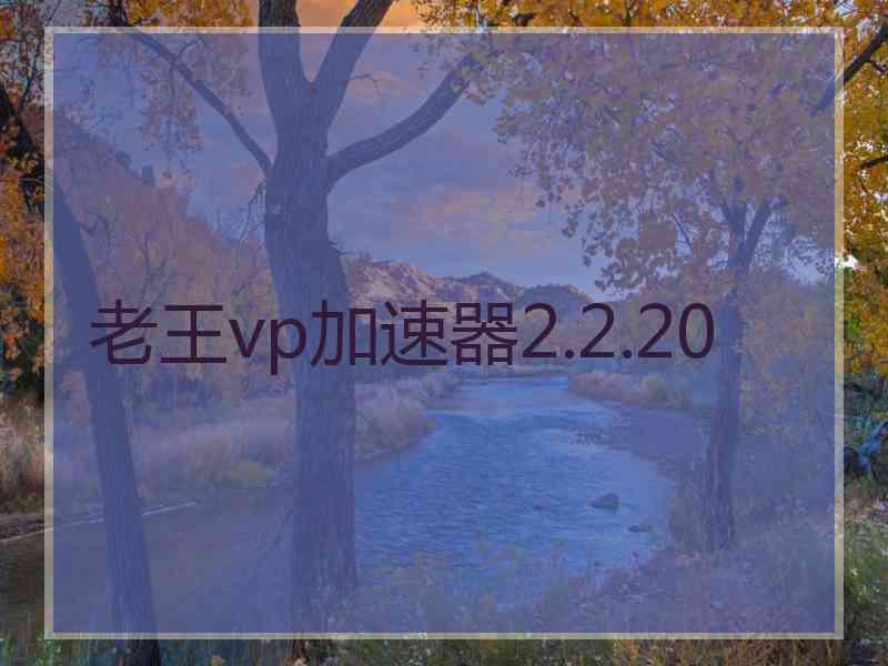 老王vp加速器2.2.20