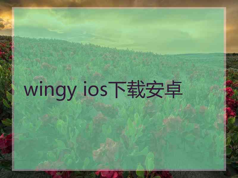 wingy ios下载安卓