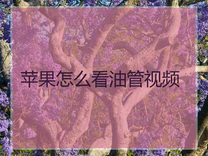 苹果怎么看油管视频