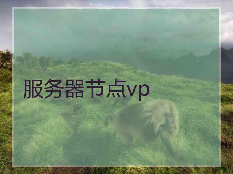 服务器节点vp